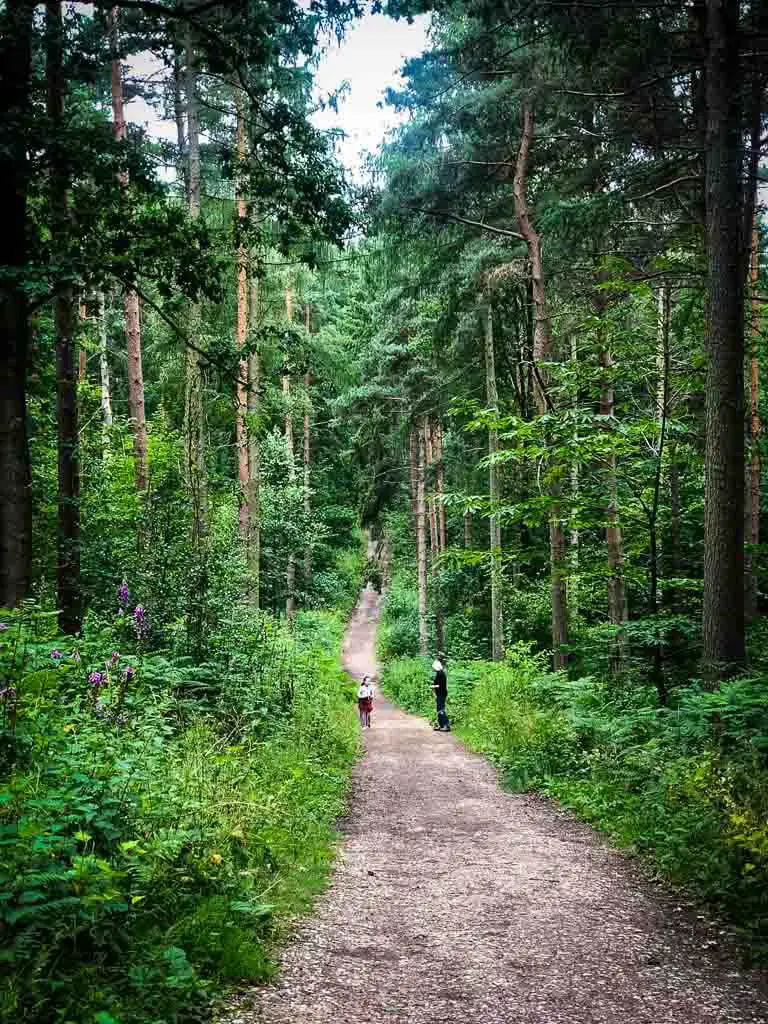 two people on a woodland trail