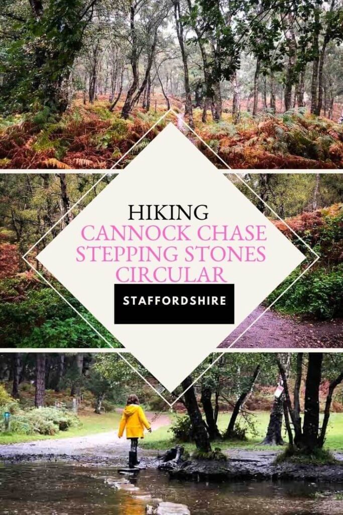 cannock chase stepping stones pin image