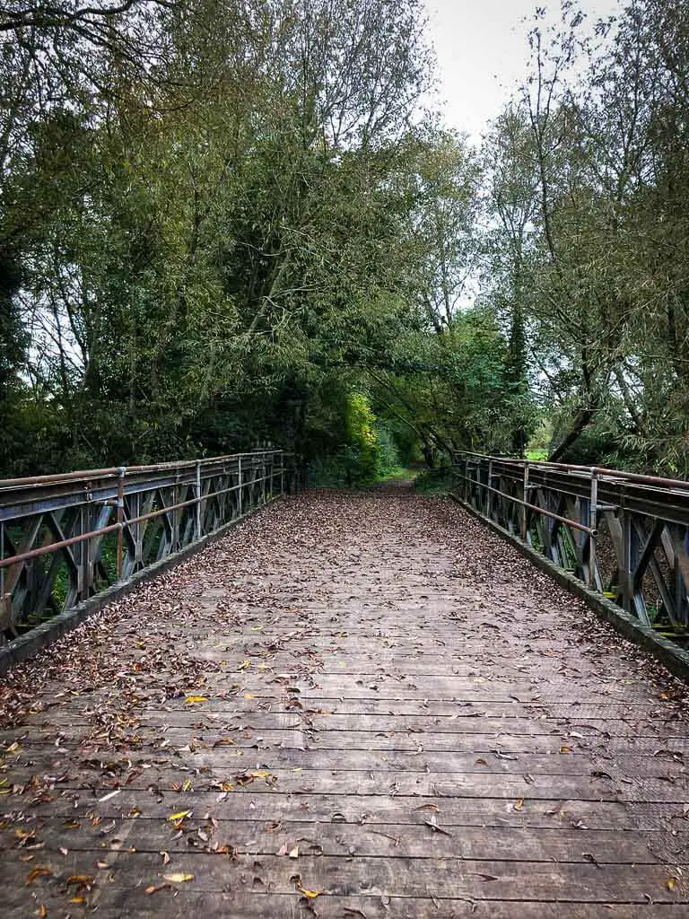 old bridge with autumnal leaves