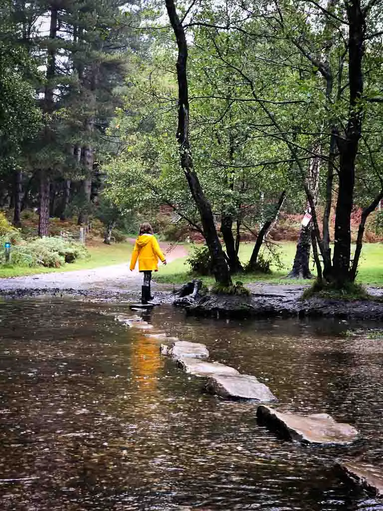 girl walking on stepping stones cannock chase