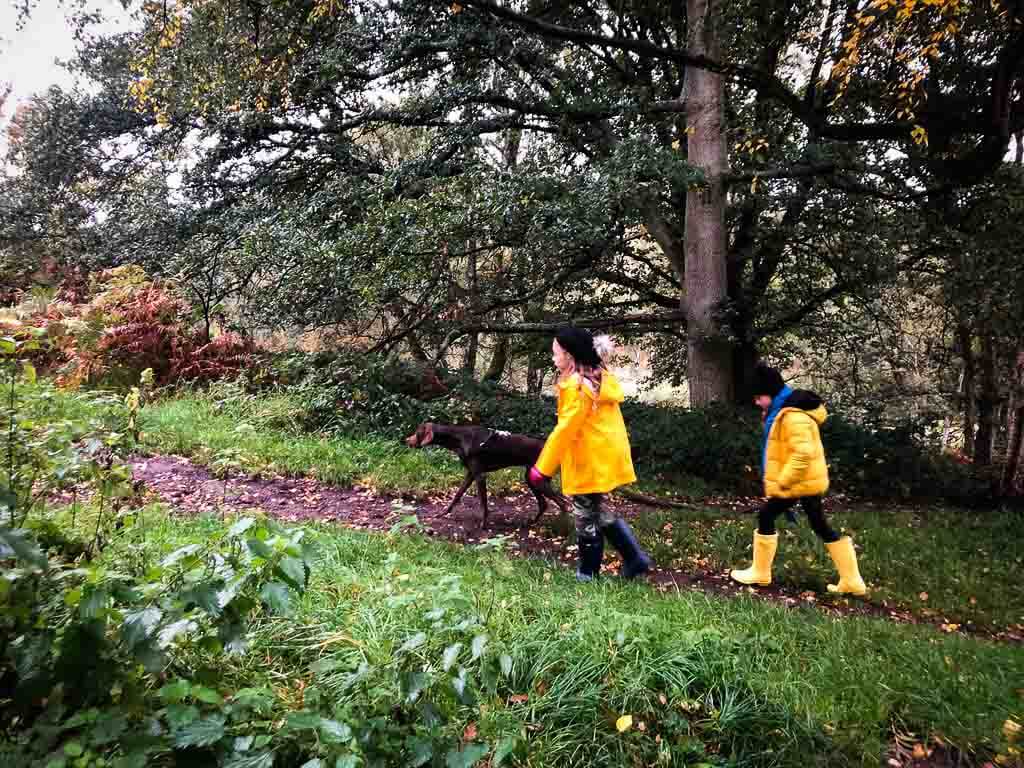 two girls in yellow rain coats