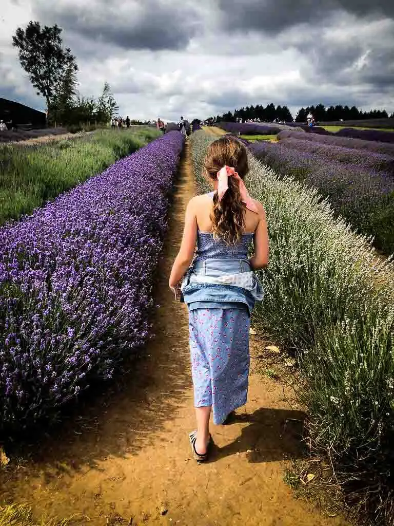 back view of young girls with long hair walking through rows of lavender