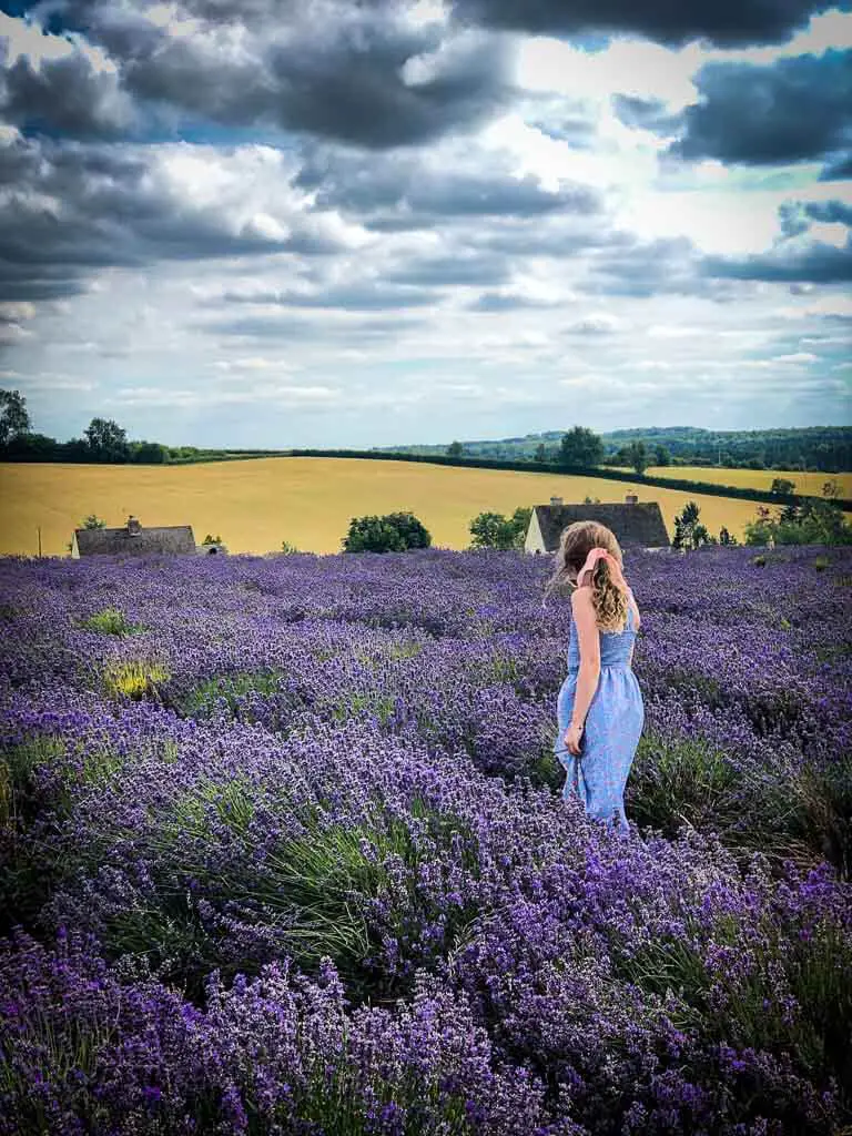 girl standing in lavender fields with views of the cotswolds countryside