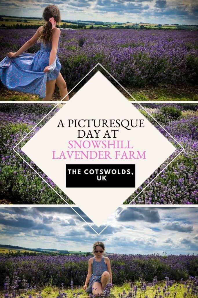 lavender farm cotswolds pin