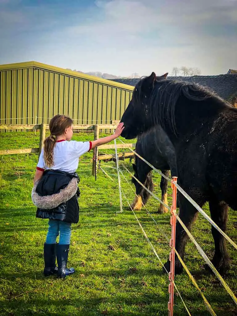 girl stroking black horse on the nose