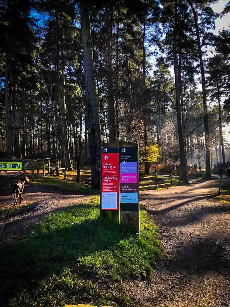 trail options at cannock chase