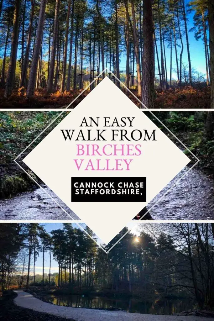 easy walk on cannock chase pin