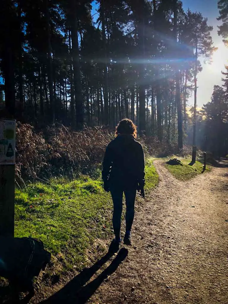 woman walking along trail in autumnal sunlight