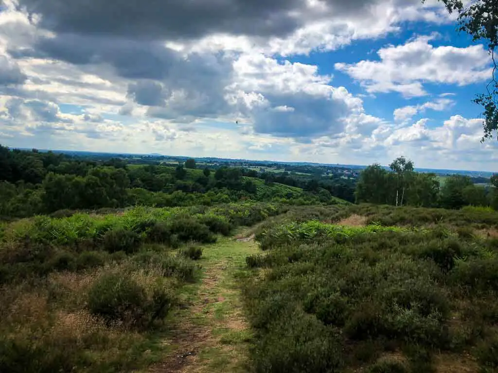 view of cannock chase