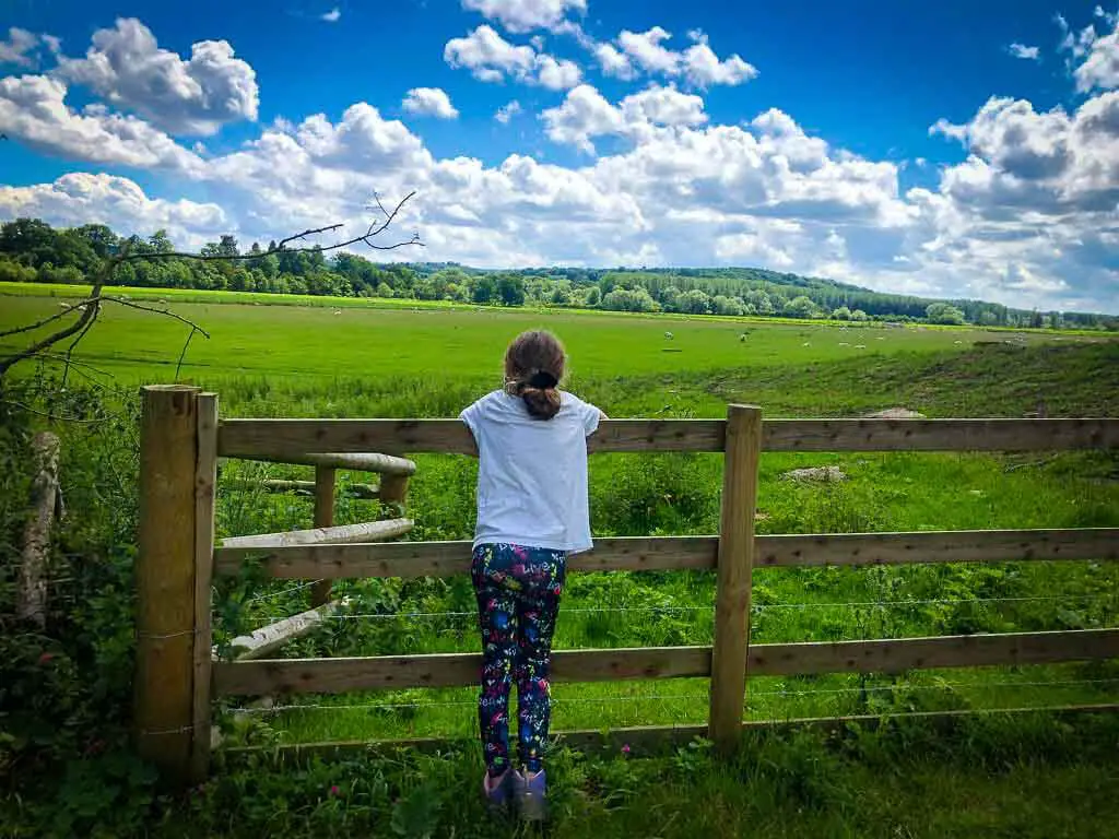 girl in leggings and white t shirt looking over a wooden fence towards green fields