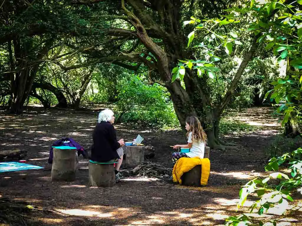 young girl and her granny enjoying a socially distanced picnic sitting on tree stumps
