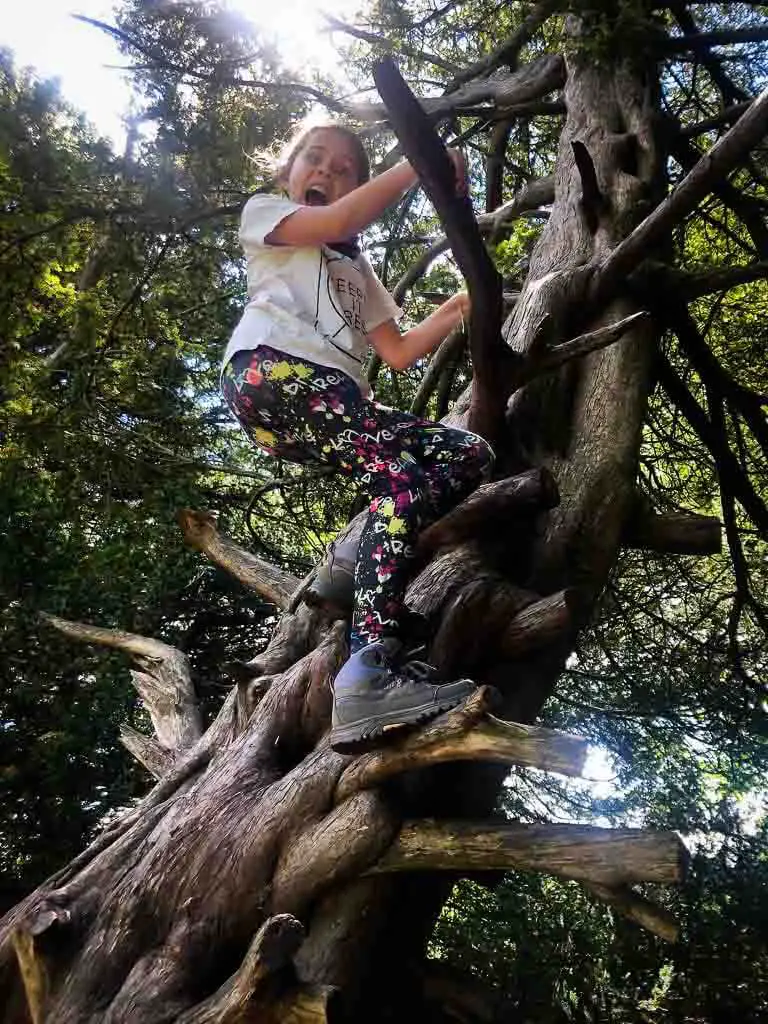 young girl climbing a spiky tree with branches that look like a ladder