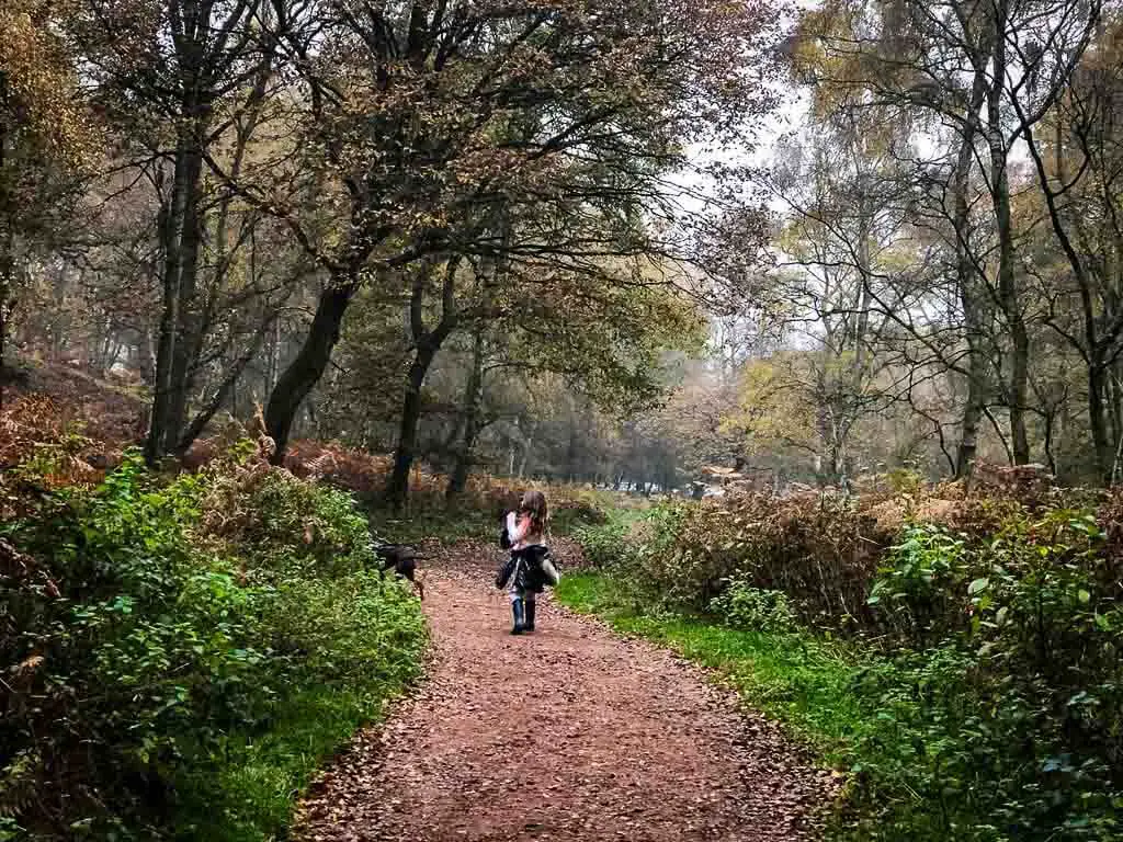 girl on brown leaf strewn path