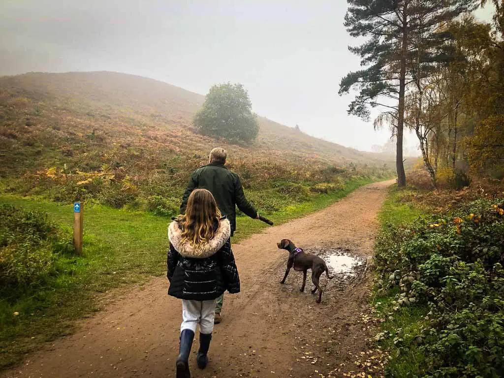 girl, dog and man walking on a wide trail through the countryside