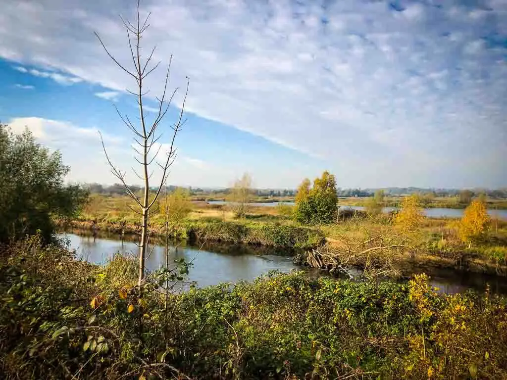 view of middleton lavkes nature reserve with autumn colours