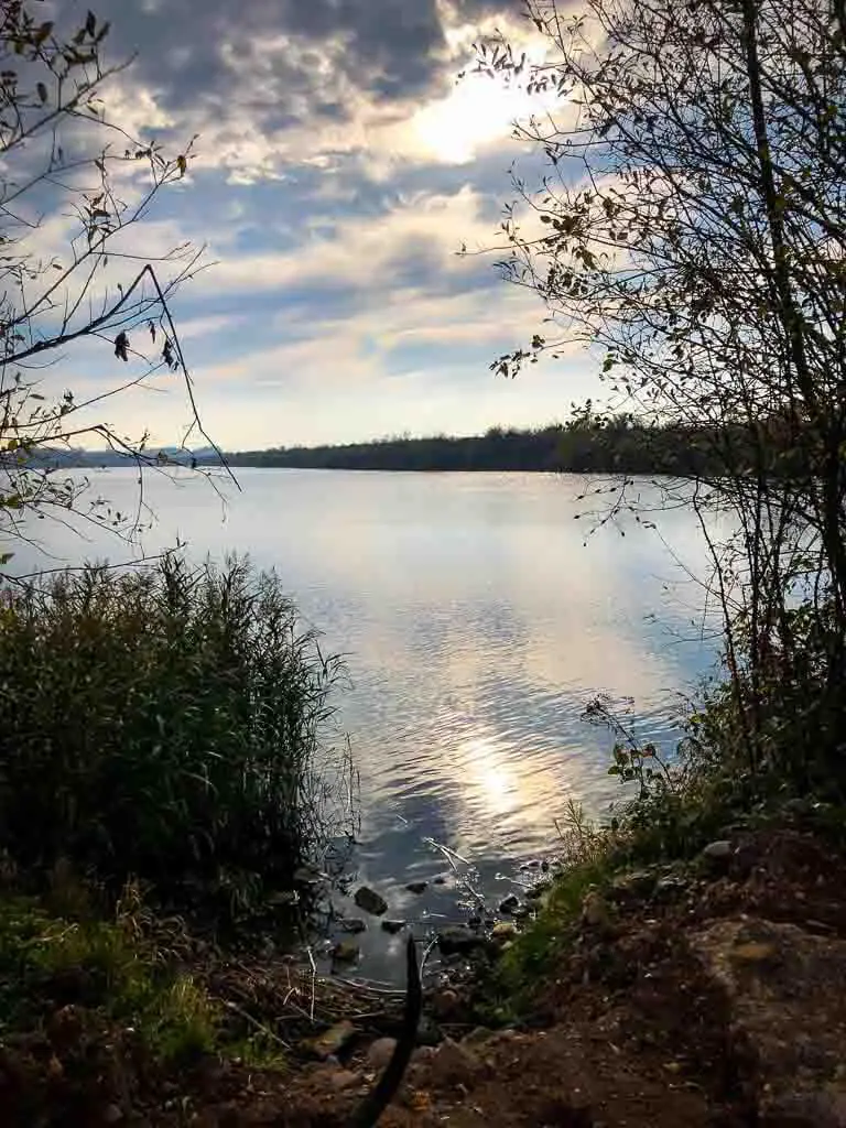 view of lake from shore