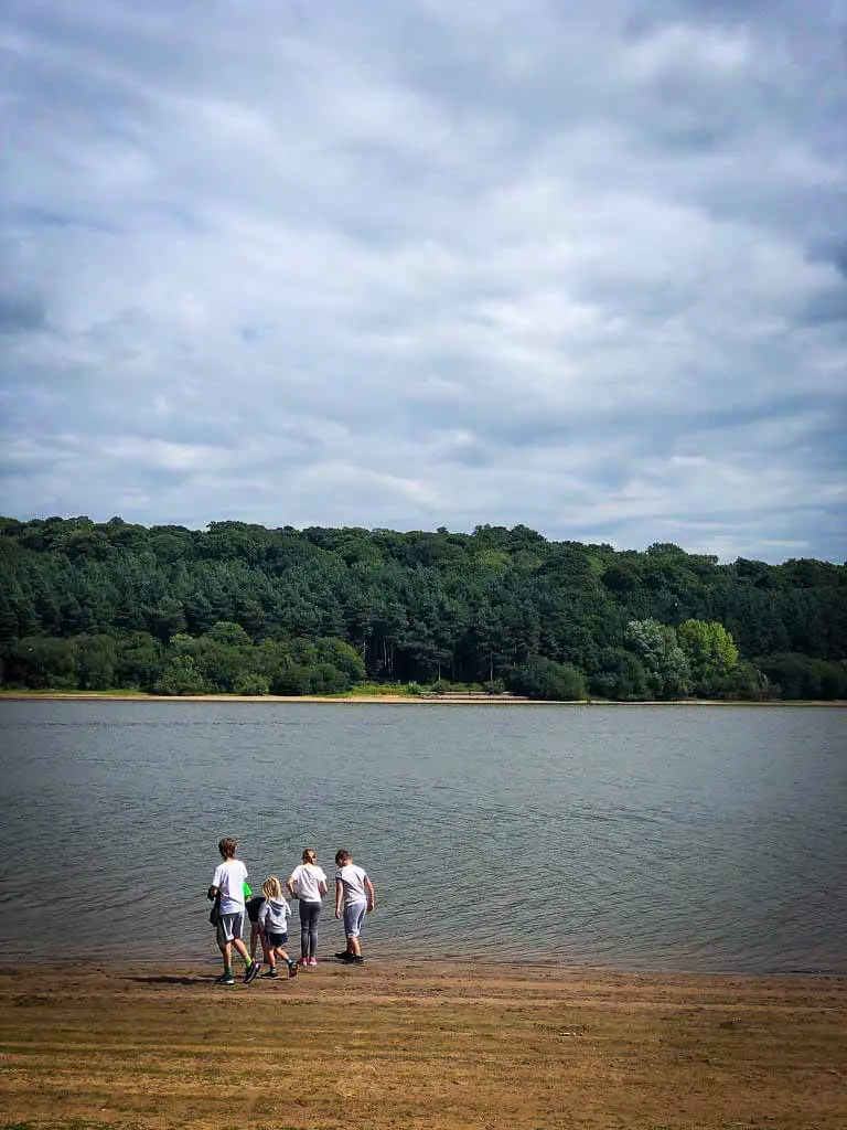 pgroup of kids on a pretend beach at a reservoir