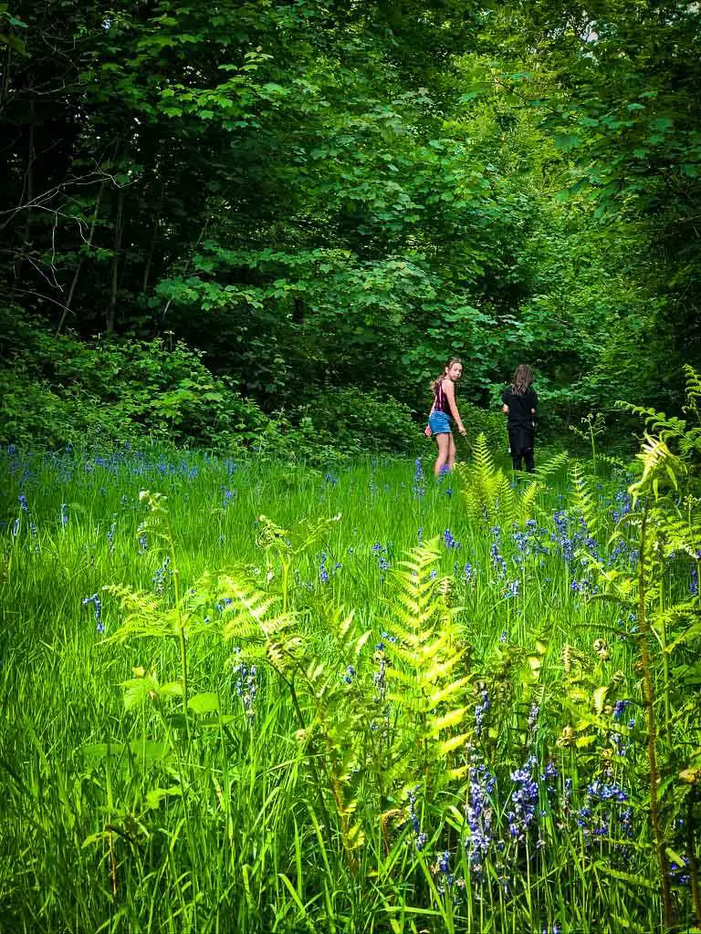 girl in vest top and denim shorts looking back at camerawomen from bluebell wood