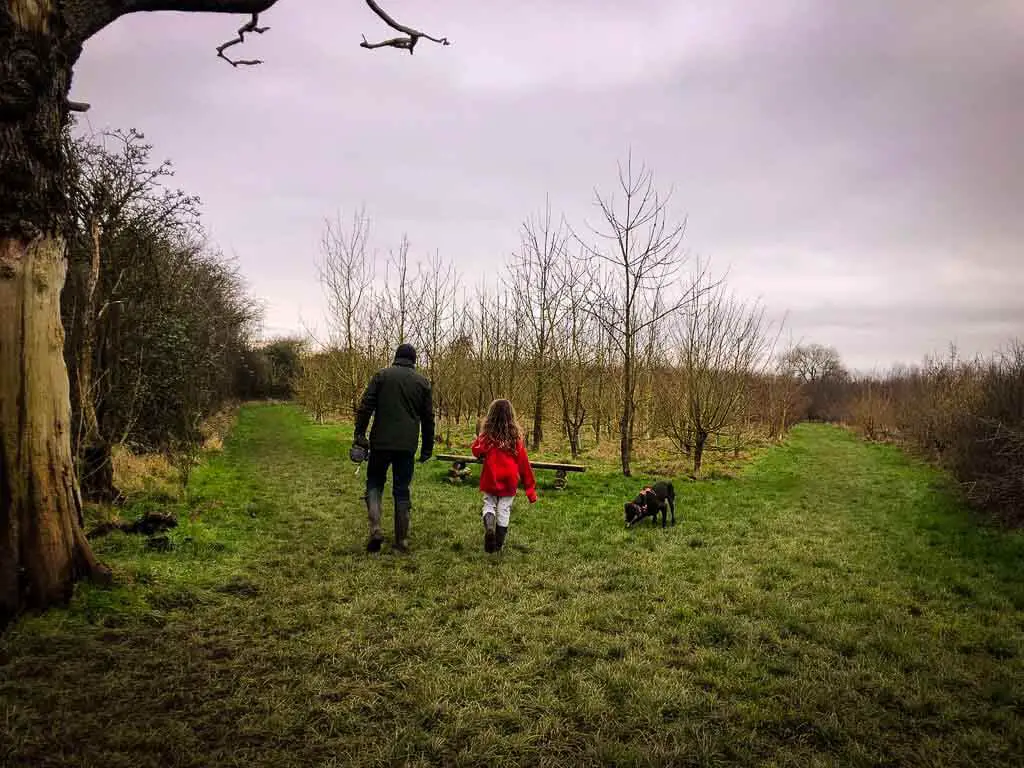 back of man in swollen hat, girl in red jumper and dog  waking in a field 