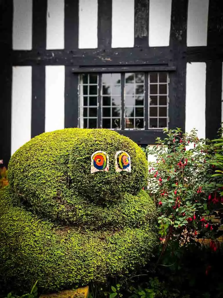 sculpted bush with added colourful eyes infront of a black and white timber house
