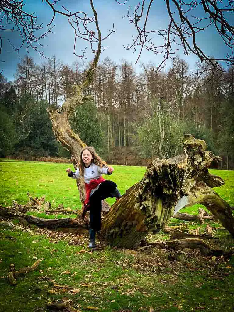 young girl jumping of a fallen tree