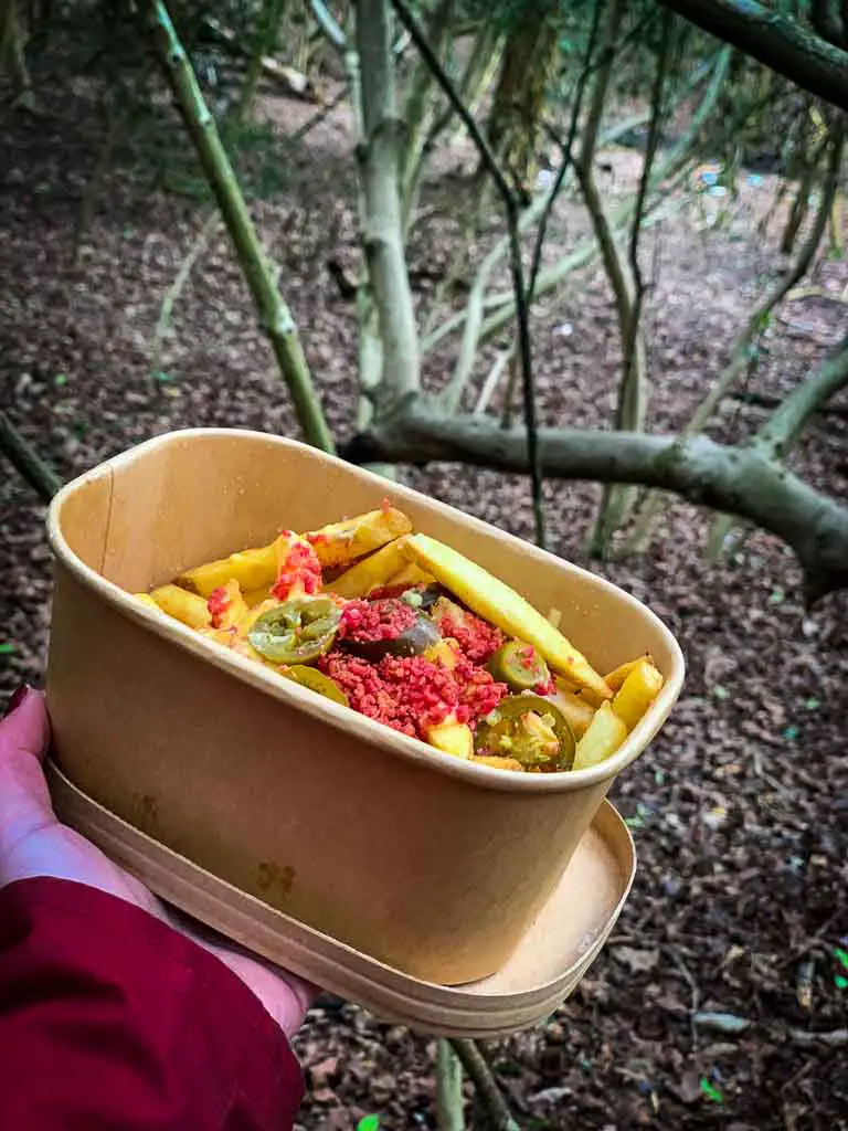 cardboard tub of spicy topped fries