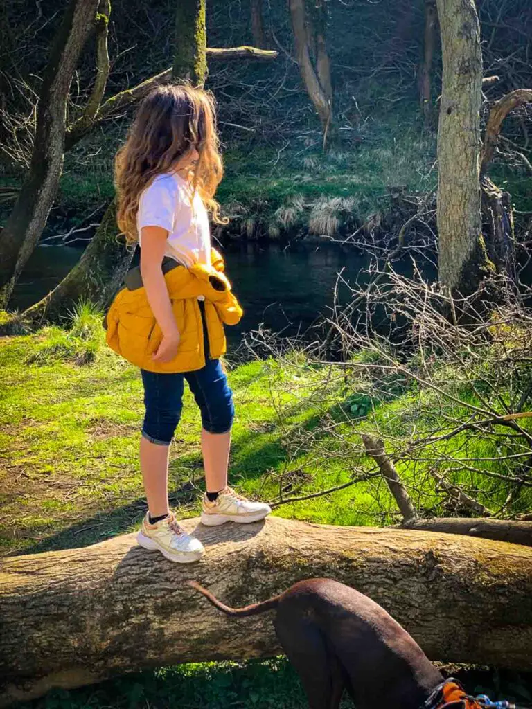 girl with long curly hair and yellow jacket tied around waist standing on a log