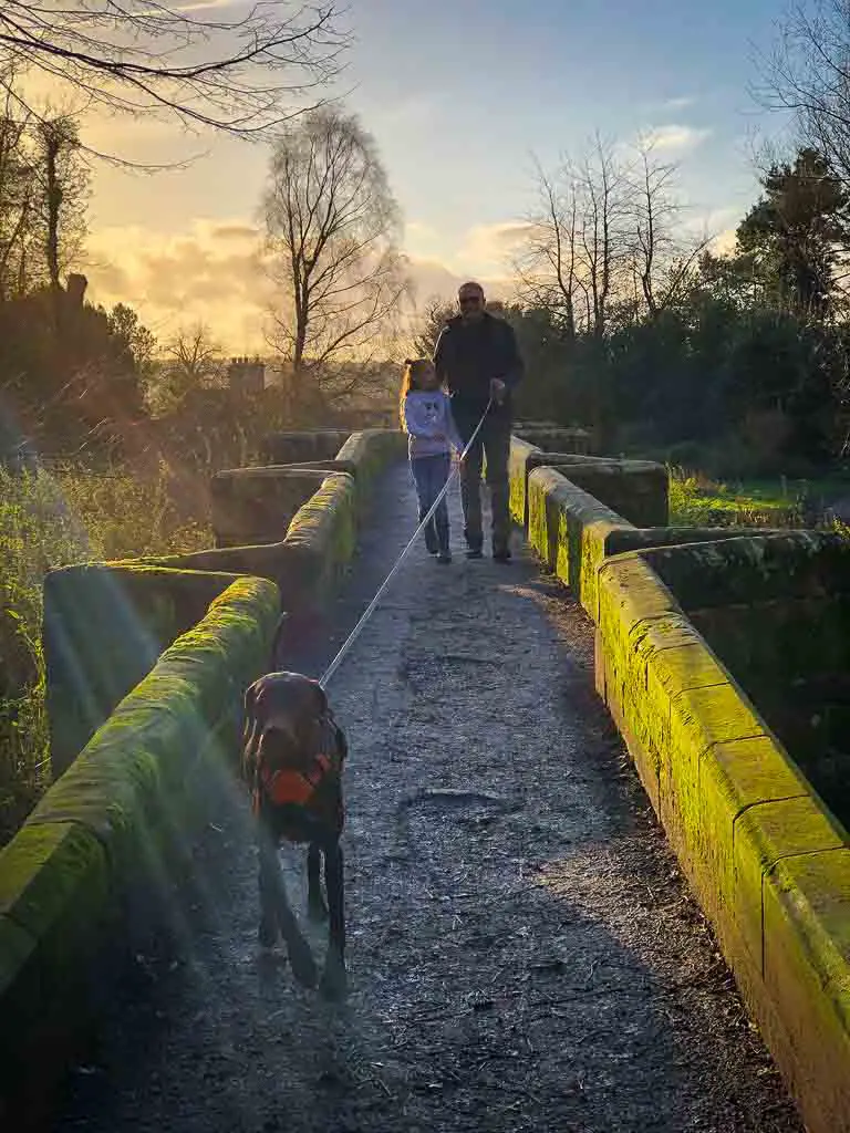 father, daughter and dog walking across essex bridge at the shugborough estate