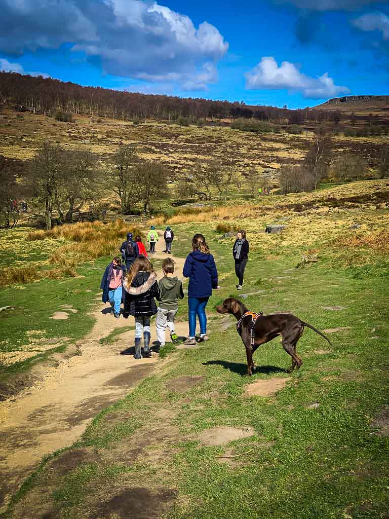 group of kids and a dog walking to padley gorge