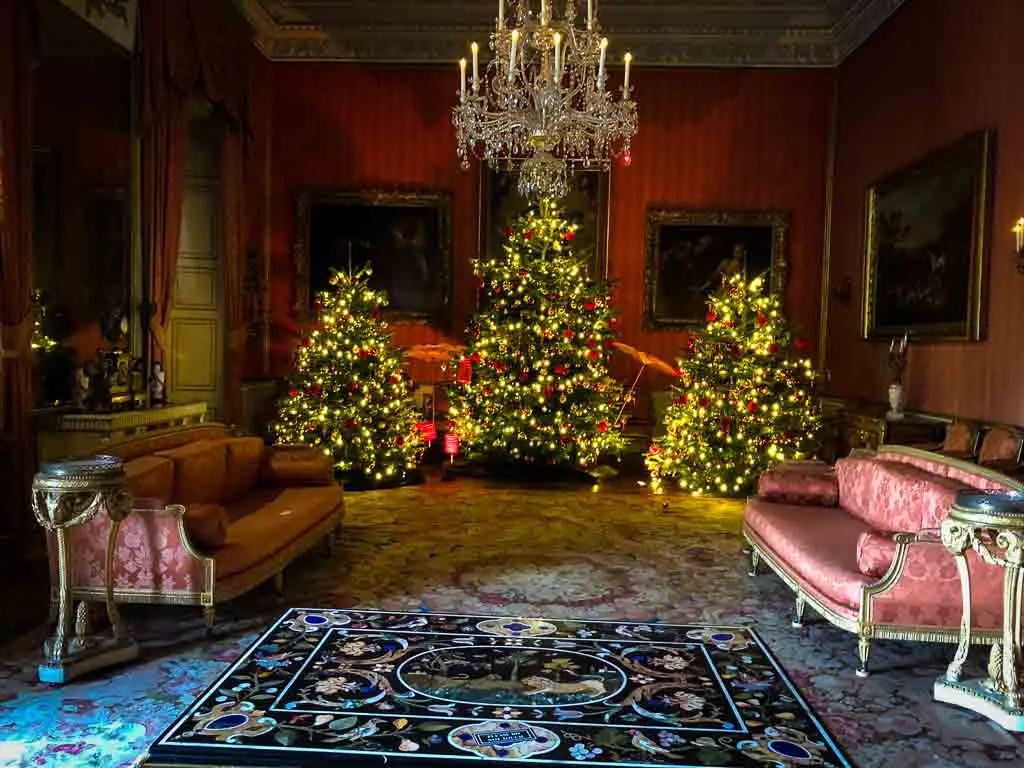 three beautifully lit christmas trees in a traditional room