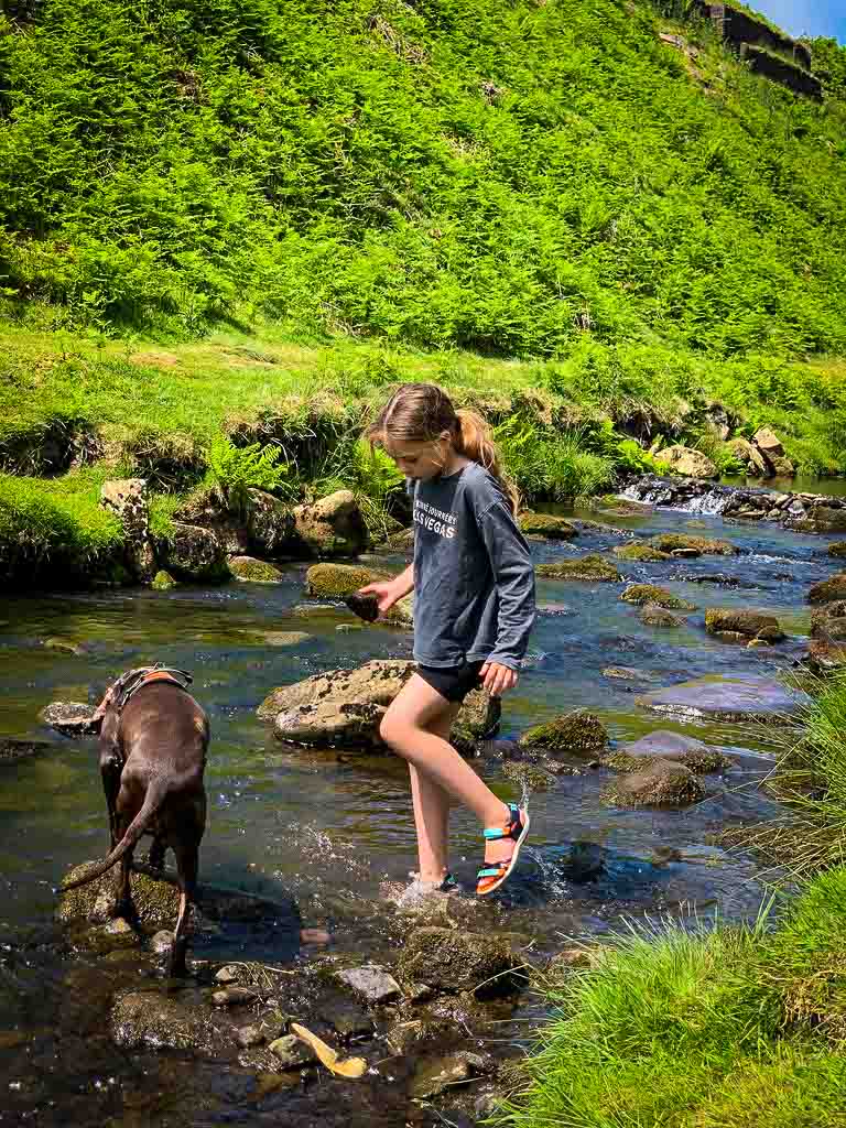 girl with water shoes on paddling in the river dane next to her dog