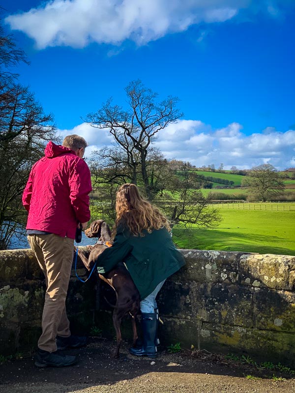 father, daughter and dog stood looking at the river dove