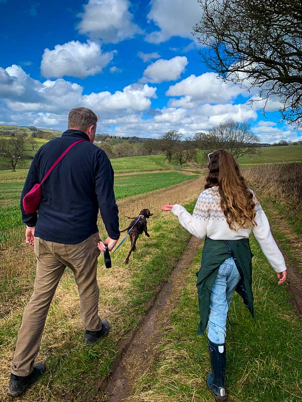 piper and nigel walk across a track in the field