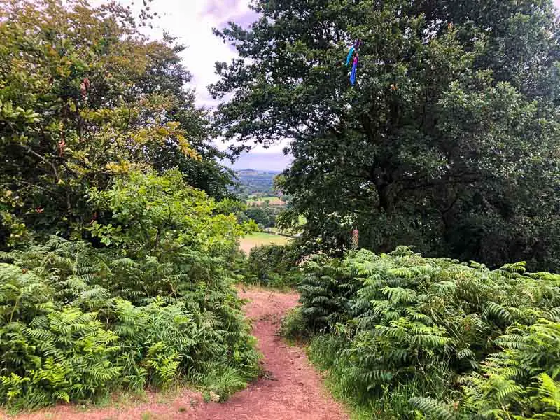 trail on client hills walk