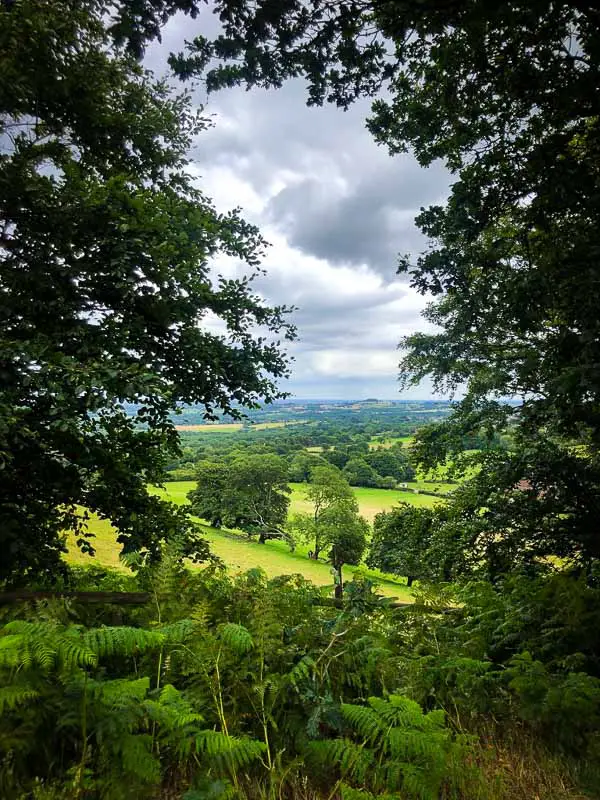 views through trees at clent