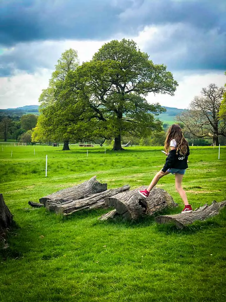 Piper quinn playing on fallen logs in the chatsworth estate